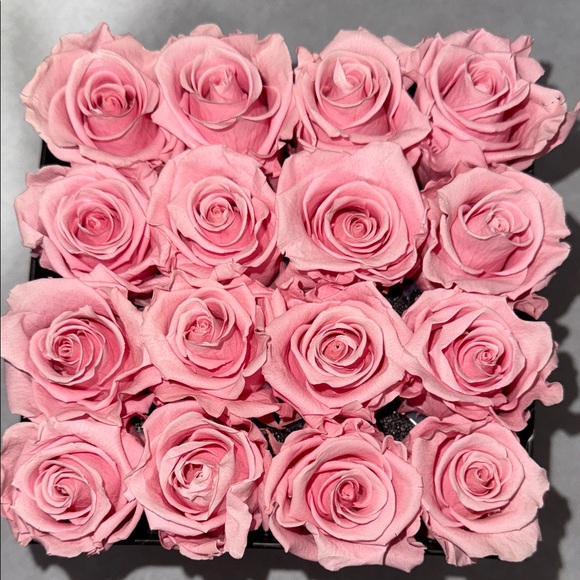 Venus Et Fleur Pink Roses in Black Box - Picture 3 of 9